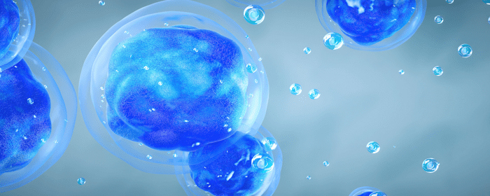 Mesenchymal Stem Cells for Autoimmune and Rheumatic Diseases: What the Research Shows