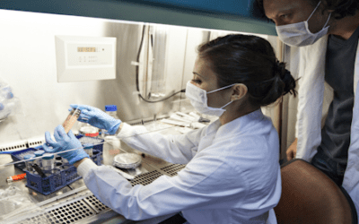 Clinical Trial Landscape of Stem Cell Therapy in Autoimmune Diseases: Global Trends and Future Perspectives